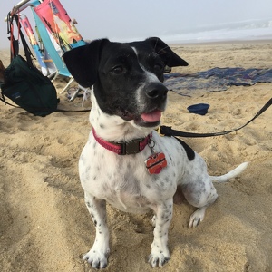 Fundraising Page: Smidge Myers